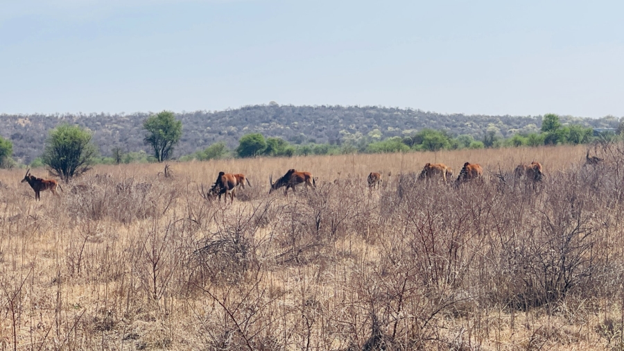  Bedroom Property for Sale in Lekwena Wildlife Estate North West